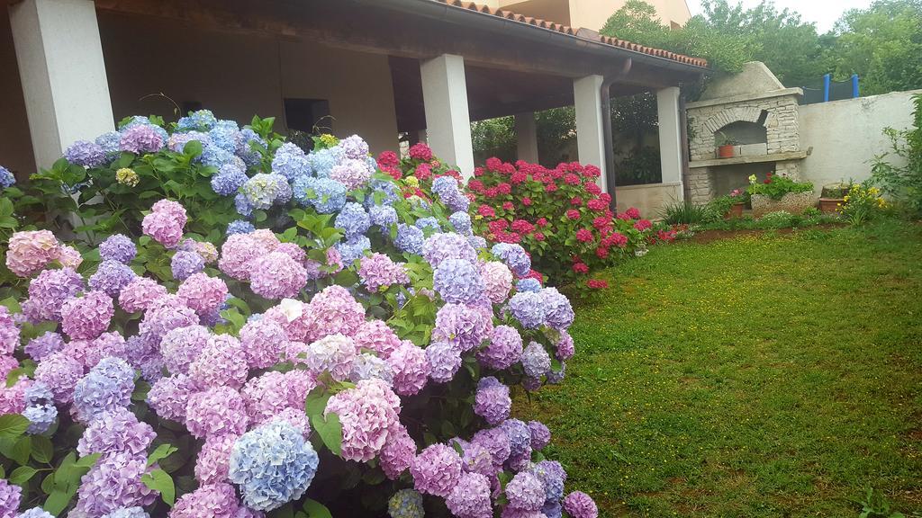 Bed & Breakfast Banjole Esterno foto